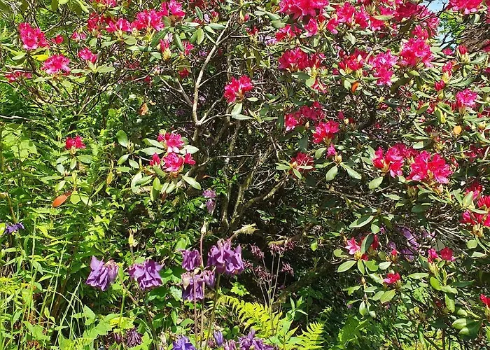 Appartement Paradiesken Am Berg *